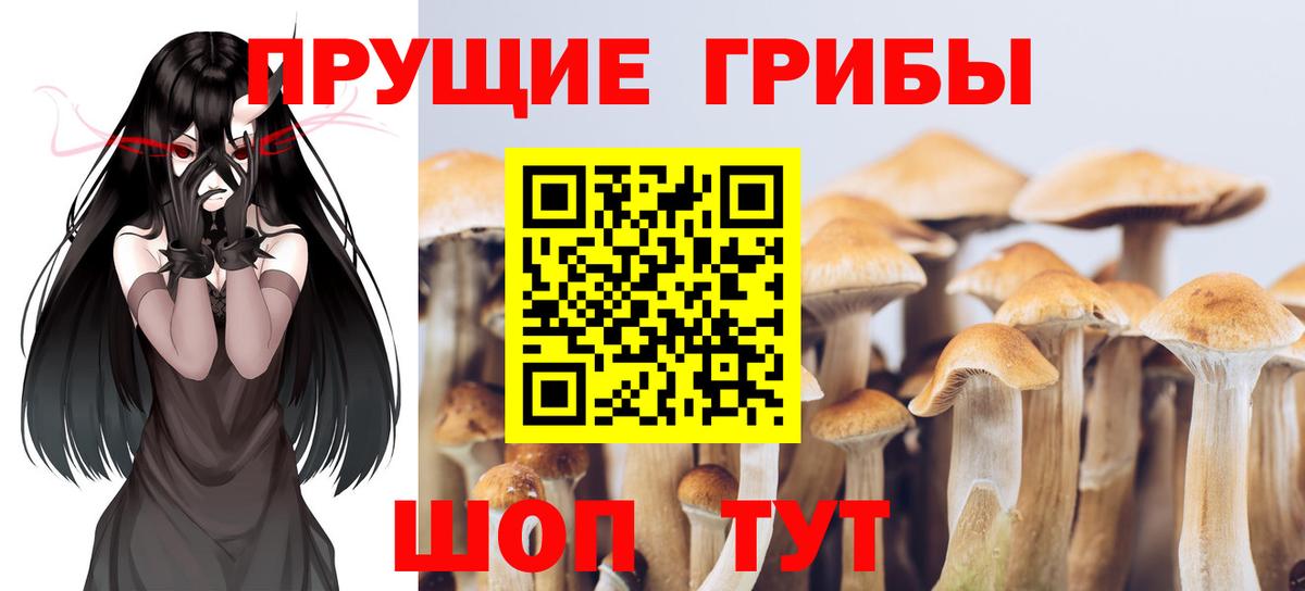 Галлюциногенные грибы мухоморы Усть-Илимск